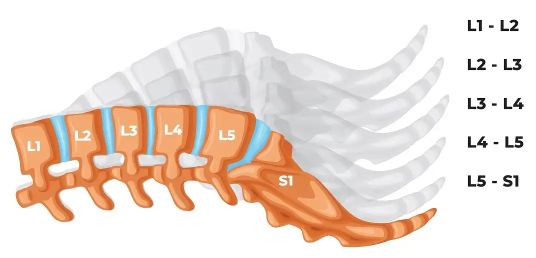 Targeting Lumbar Spine